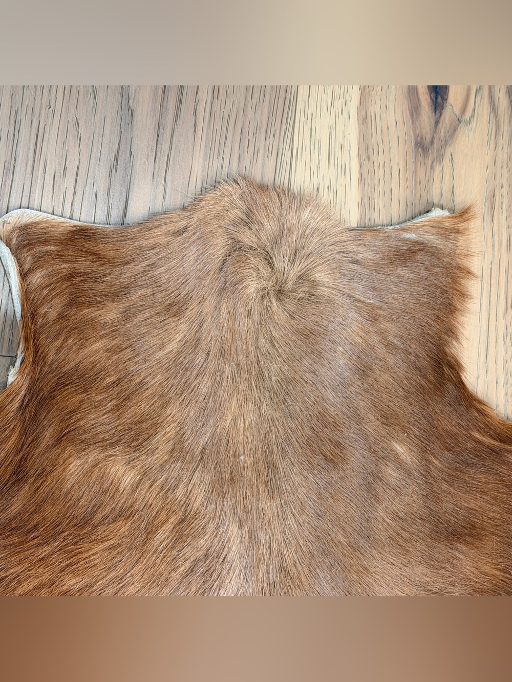 Vintage Genuine Goatskin Hide Rug Mallorca Spain Brown & White Hair-On Hide - Picture 2 of 11